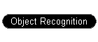 Object Recognition